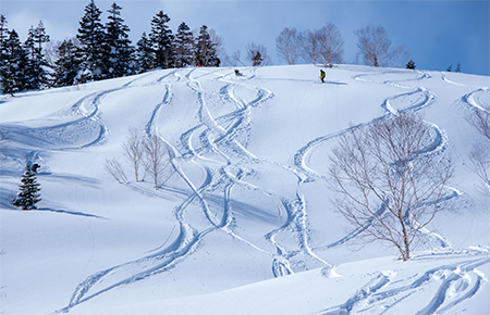 tsugaike_naturalpark